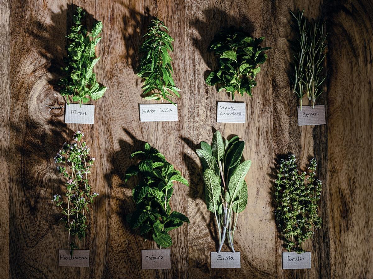 Plantas aromáticas restaurante Finca Alfoliz