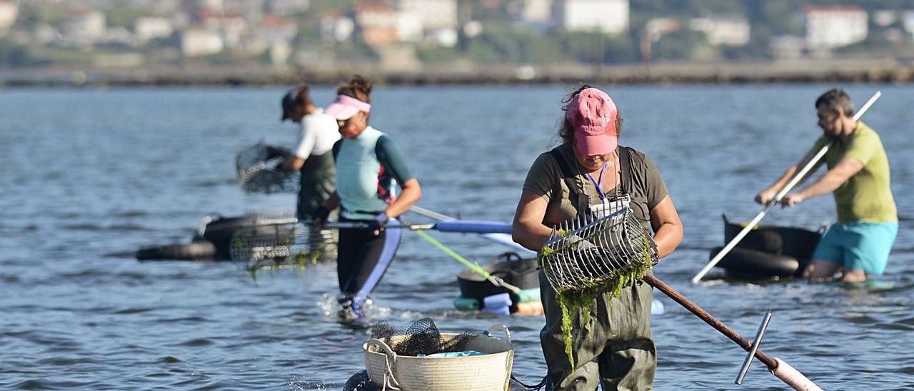 Mariscadoras trabajando en un banco del fondo de la ría de Pontevedra. |   // RAFA VÁZQUEZ