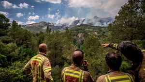 Mor un auxiliar forestal que treballava en l’extinció de l’incendi de Paüls després de caure 20 metres