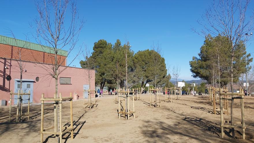 L&#039;Escola Puigberenguer guanya ombra al pati amb una plantació d&#039;arbres