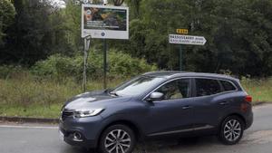 Ayudar al visón europeo a cruzar carreteras, clave para evitar su extinción