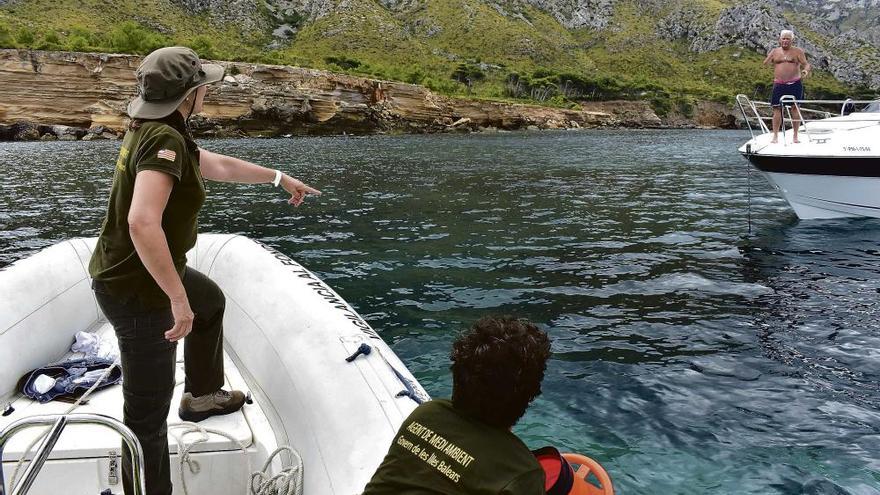 Sanciones para los que fondean sobre posidonia