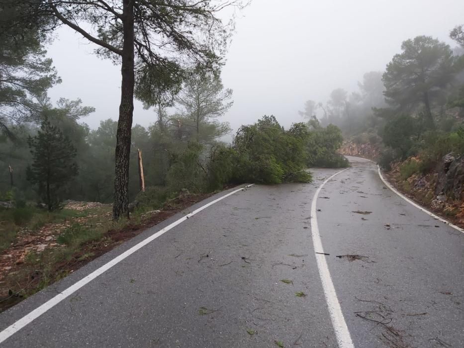 El temporal descarga sobre Ibiza y Formentera