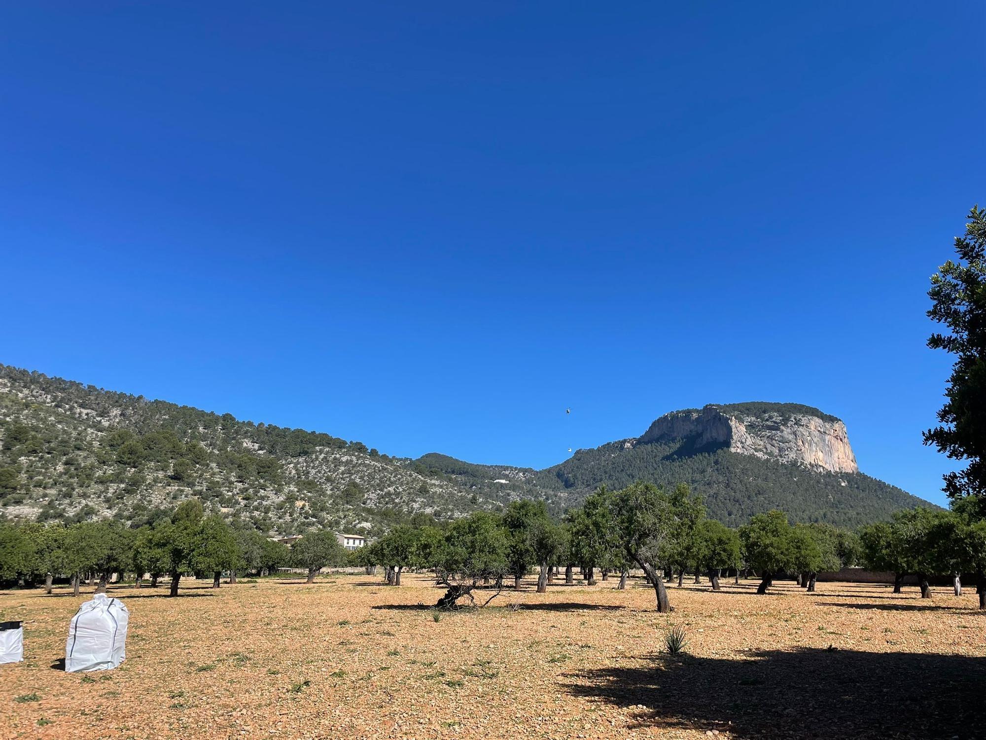 La retirada de residuos del Castell d'Alaró, en imágenes