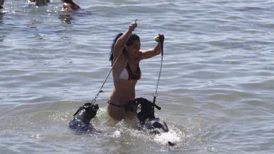Una joven el pasado domingo bañándose con dos perros en la cala de El Campello.