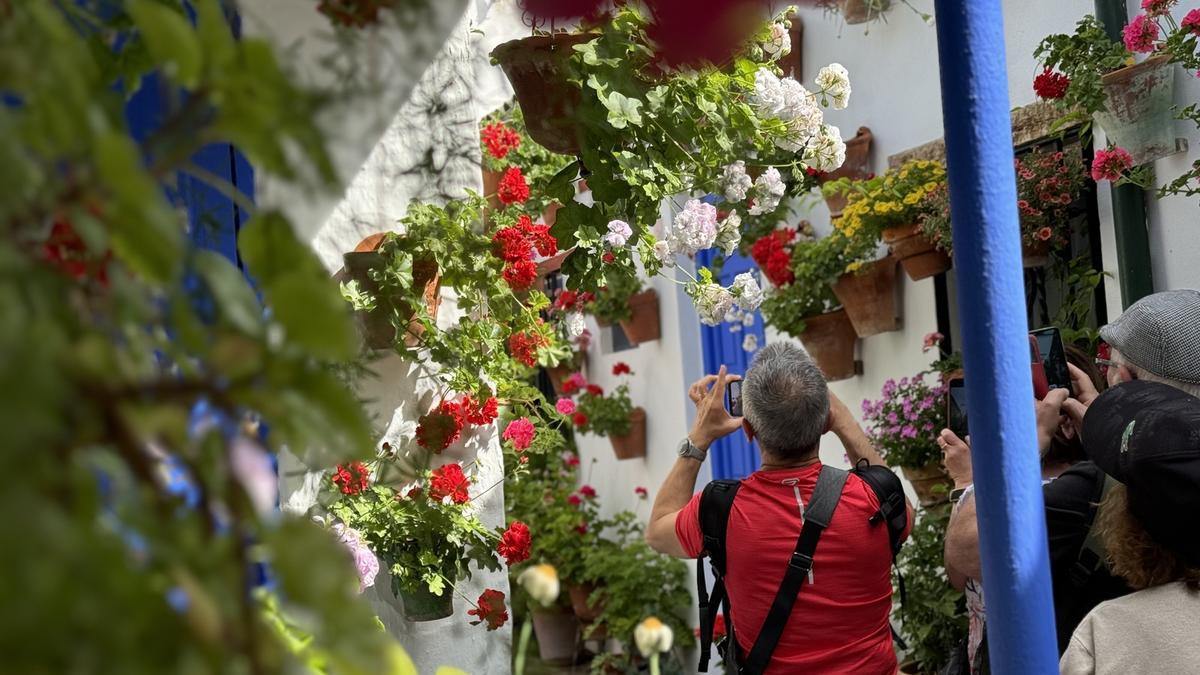 Estos son los recintos más visitados en la recta final del Festival de Patios de Córdoba