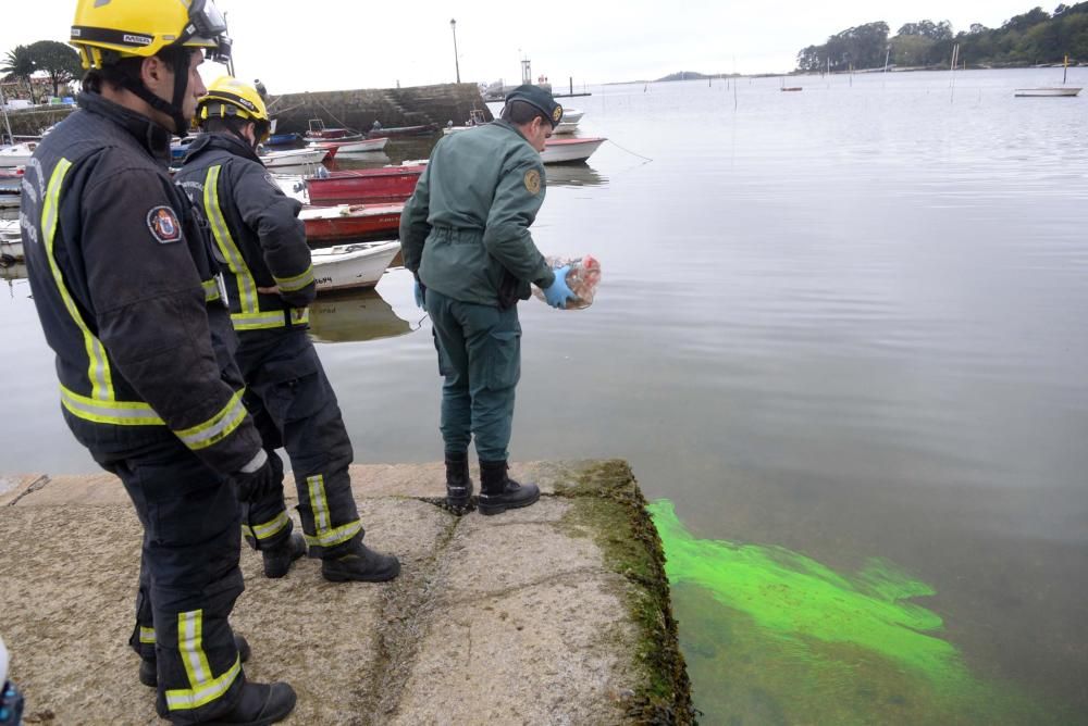 Gran mancha verde en el mar de Carril