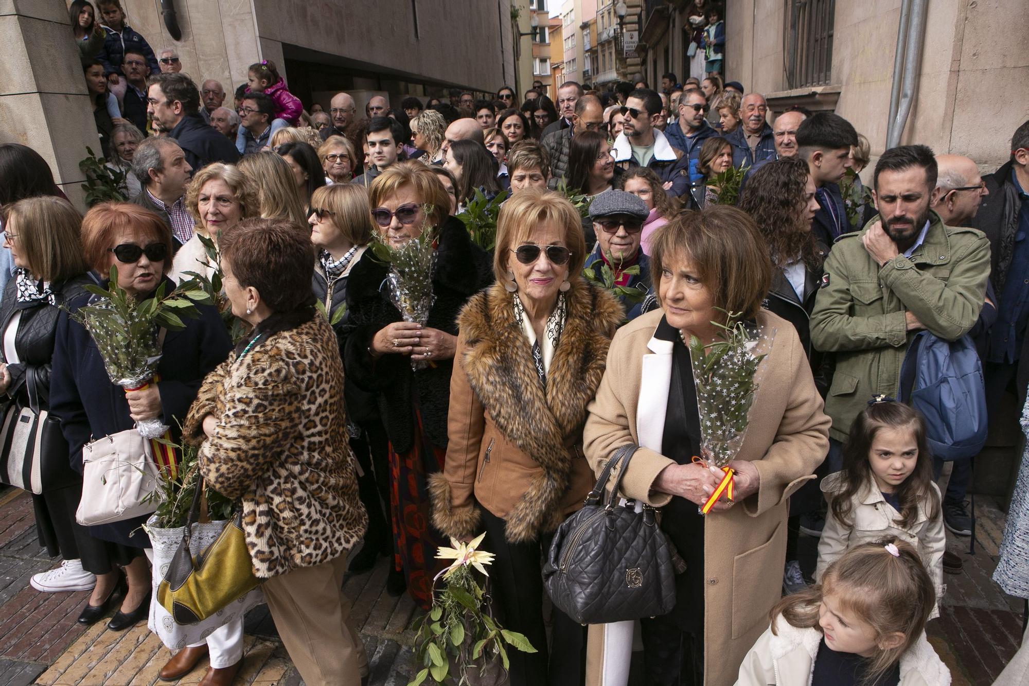 EN IMÁGENES | Bendición de Ramos y procesión de La Borriquilla en Avilés