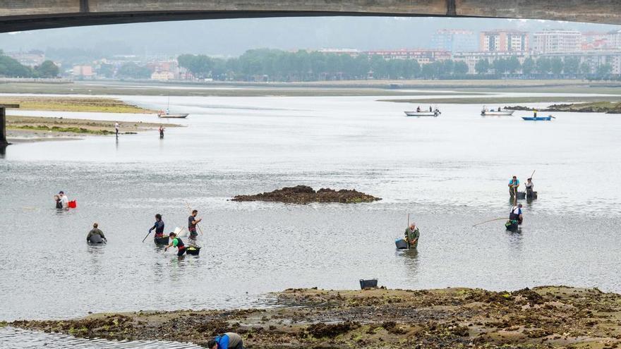 Los desniveles en el fondo de la ría, la nueva preocupación de los mariscadores de O Burgo: "Puedes tener el agua por las rodillas y, dos pasos después, hundirte"