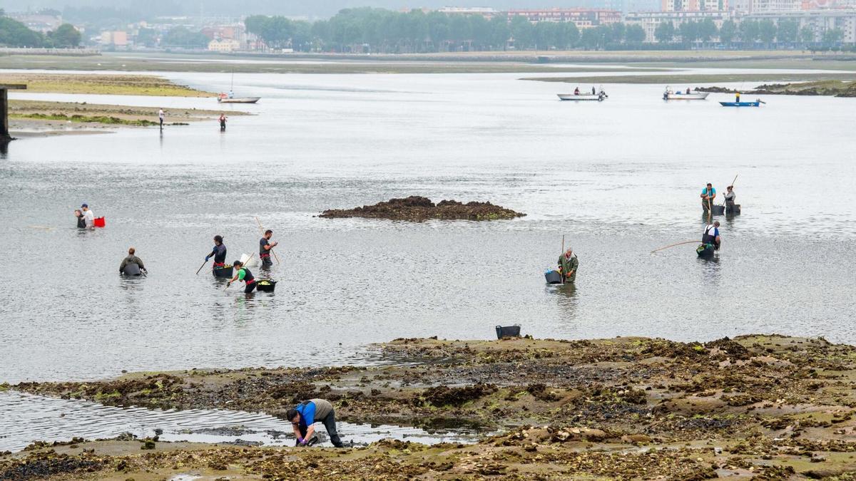 Los desniveles en el fondo de la ría, la nueva preocupación de los mariscadores de O Burgo: "Puedes tener el agua por las rodillas y, dos pasos después, hundirte"