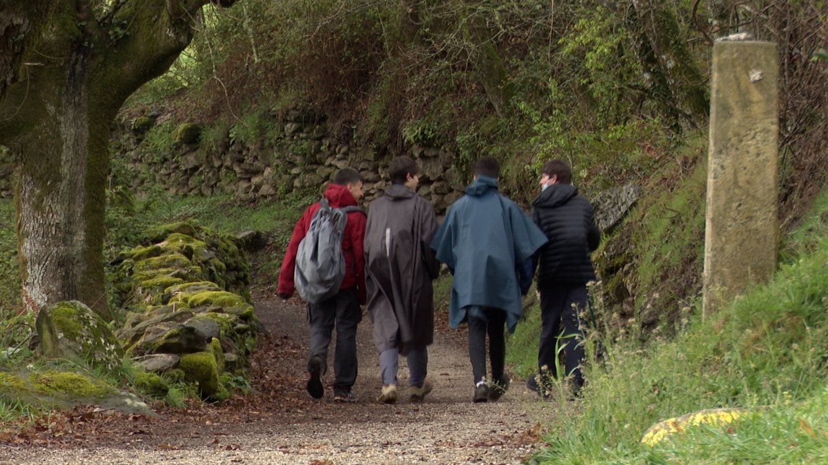 Imagen del Camino de Santiago.