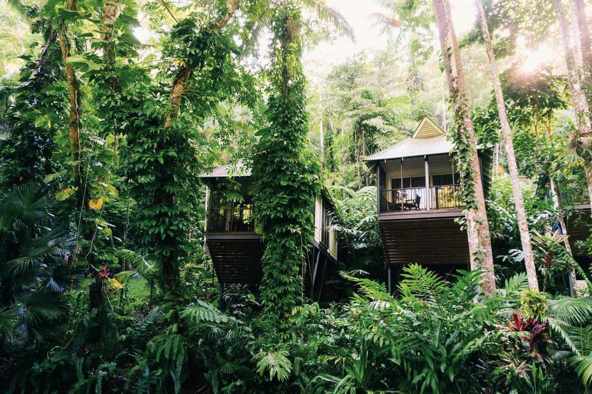 Daintree Accomodation