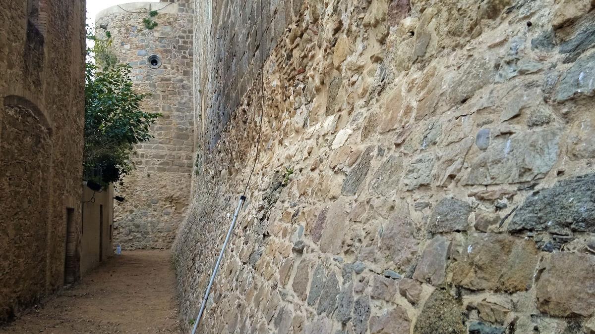 Part de la muralla del convent de Sant Domènec de Castelló