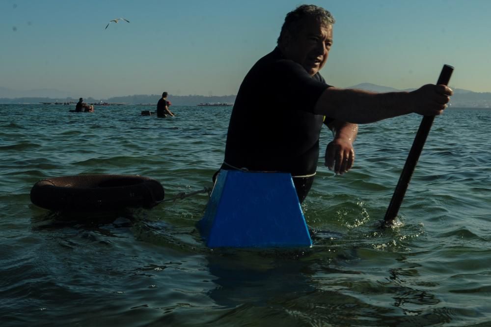 El marisqueo también genera turismo