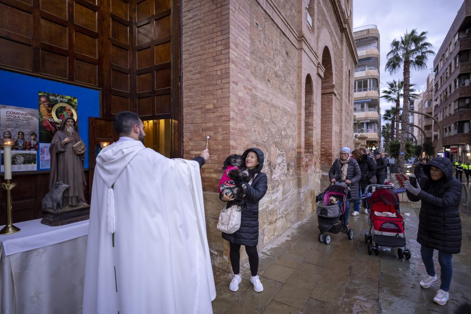 Bendición de animales por San Antón bajo una lluvia invernal en Torrevieja