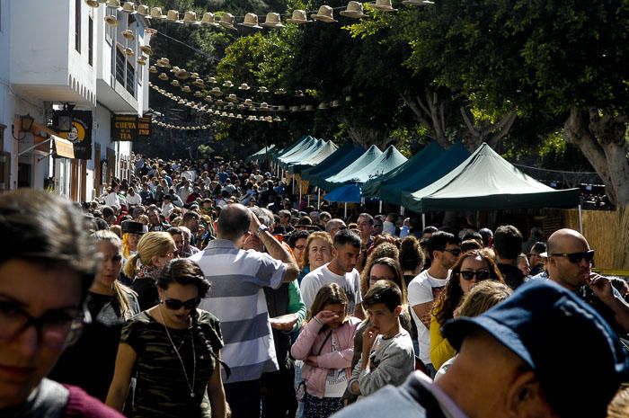 FIESTAS DEL ALMENDRO EN FLOR TEJEDA