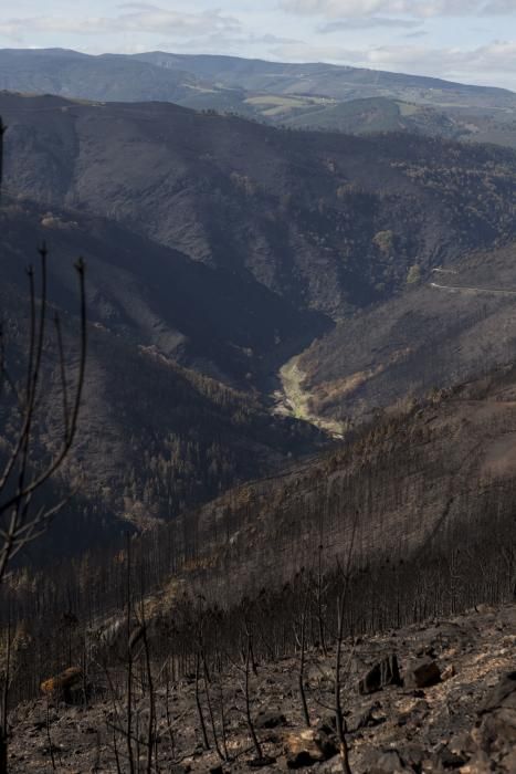 Allande y Grandas de Salime: recorrido por los territorios quemados en los últimos incendios