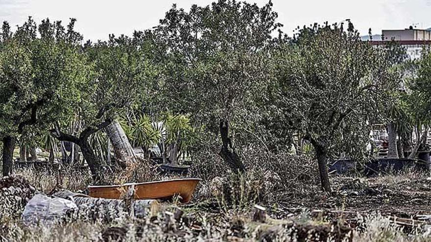 Restos del incendio en el solar que gestiona la empresa Jardins de Tramuntana.