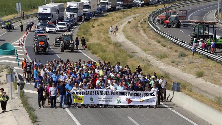 España recibirá 7 millones más para paliar la crisis de fruta de hueso