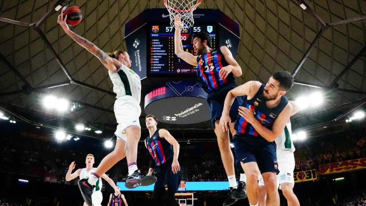 Dylan Osetkowski, en el Palau el año pasado