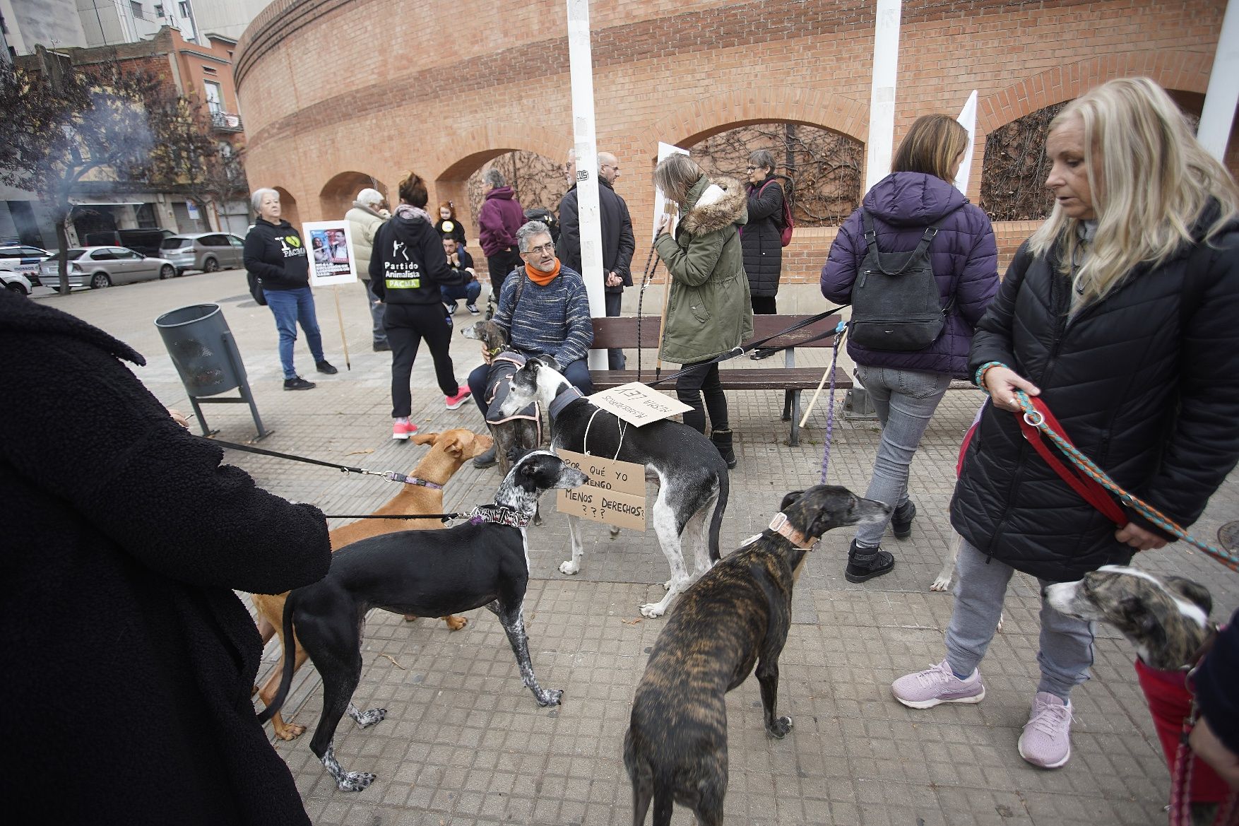 Concentracions del PACMA a Girona per reclamar incloure els gossos de caça a la llei de protecció animal