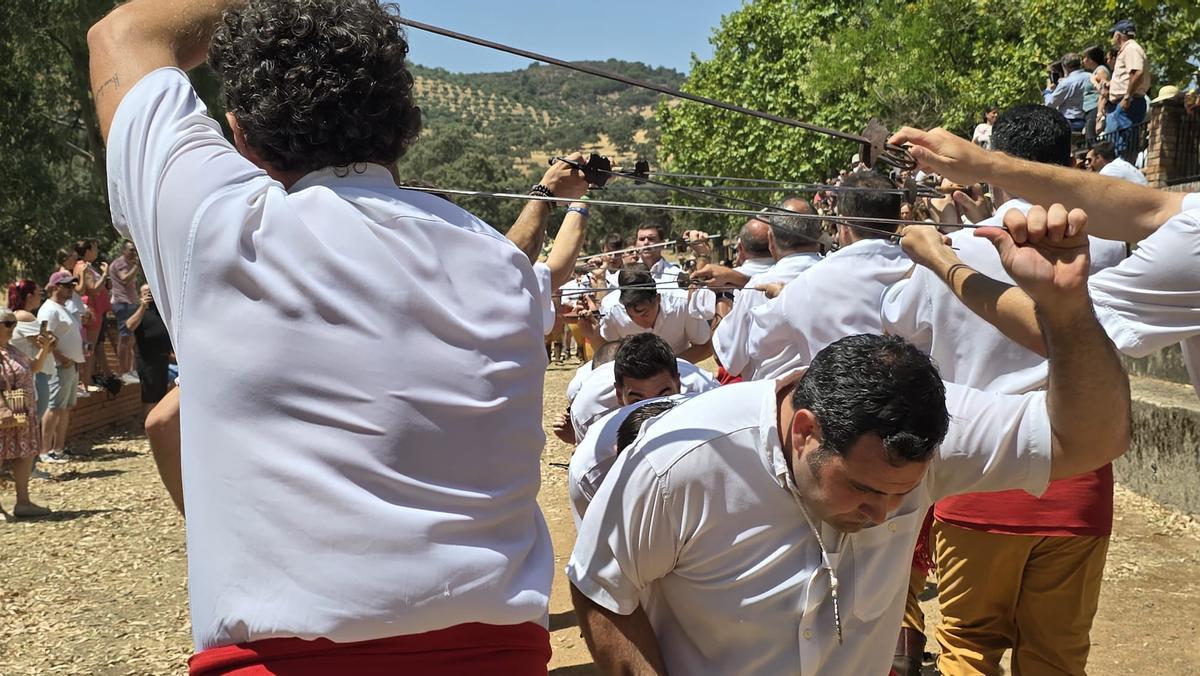 Obejo burla a la muerte con la "degollá"