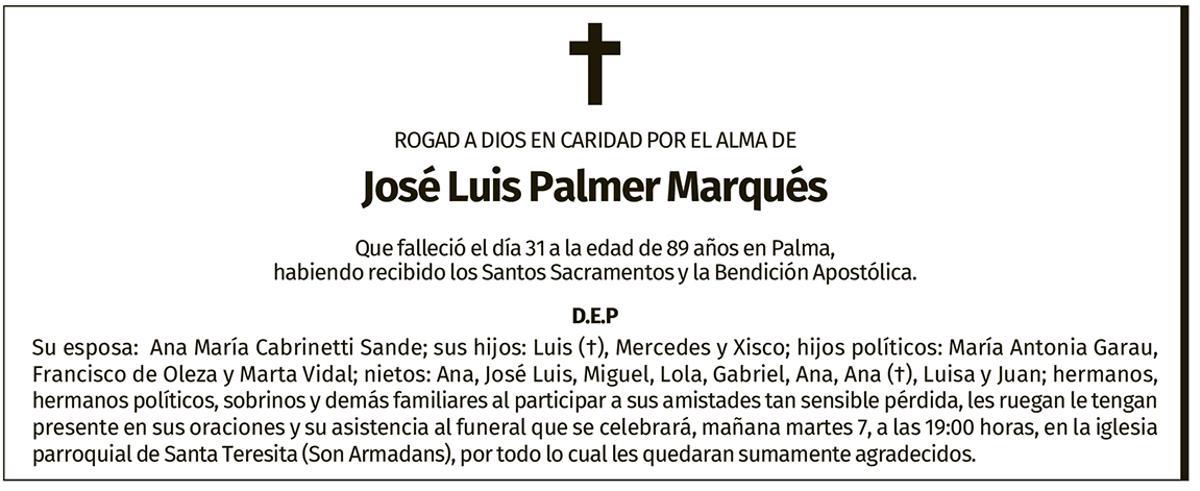 José Luis Palmer Marqués