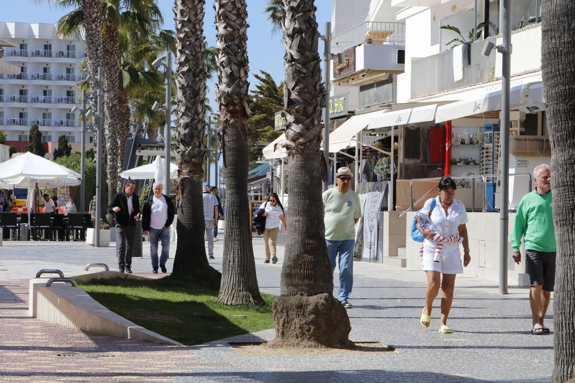 Frühlingsgefühle auf Mallorca – so sieht es gerade in Cala Millor aus