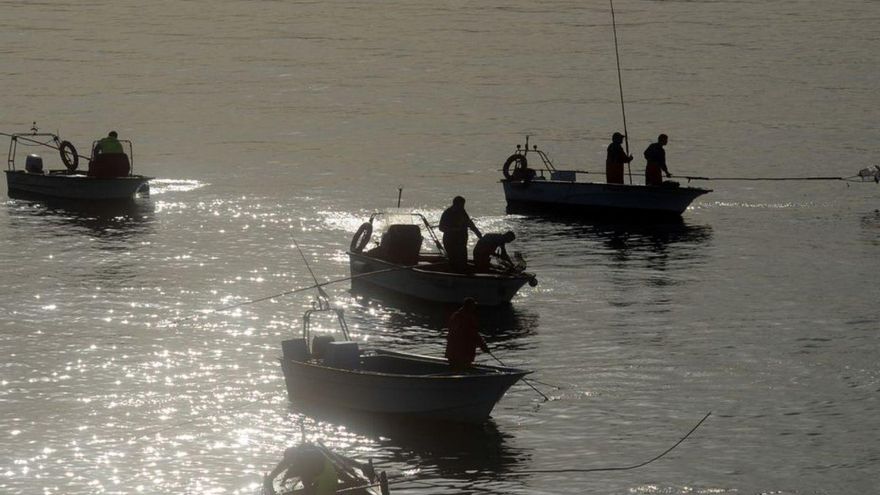 El libre marisqueo vive sus momentos más oscuros. | // NOÉ PARGA