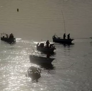 2022: Los depuradores advierten de que un paro generalizado del marisqueo dará la puntilla al sector