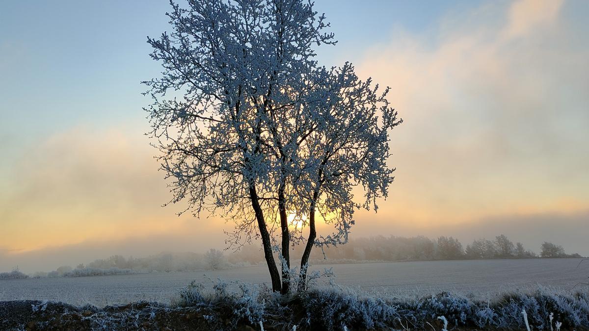 2812 meteo1.jpg