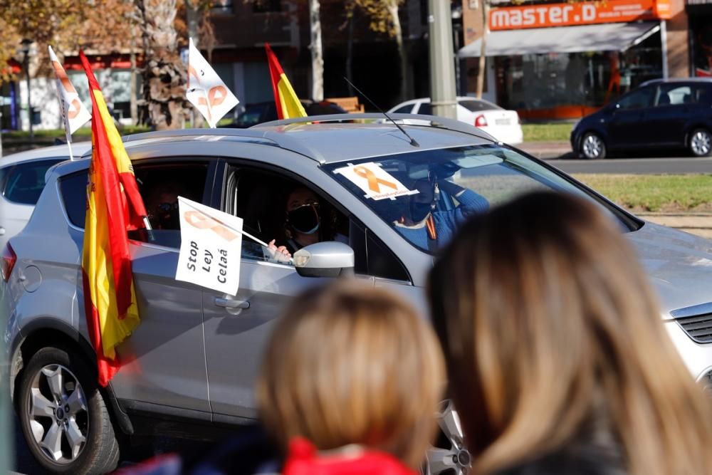 El centro de Murcia vuelve a llenarse de vehículos para protestar contra la Ley Celaá