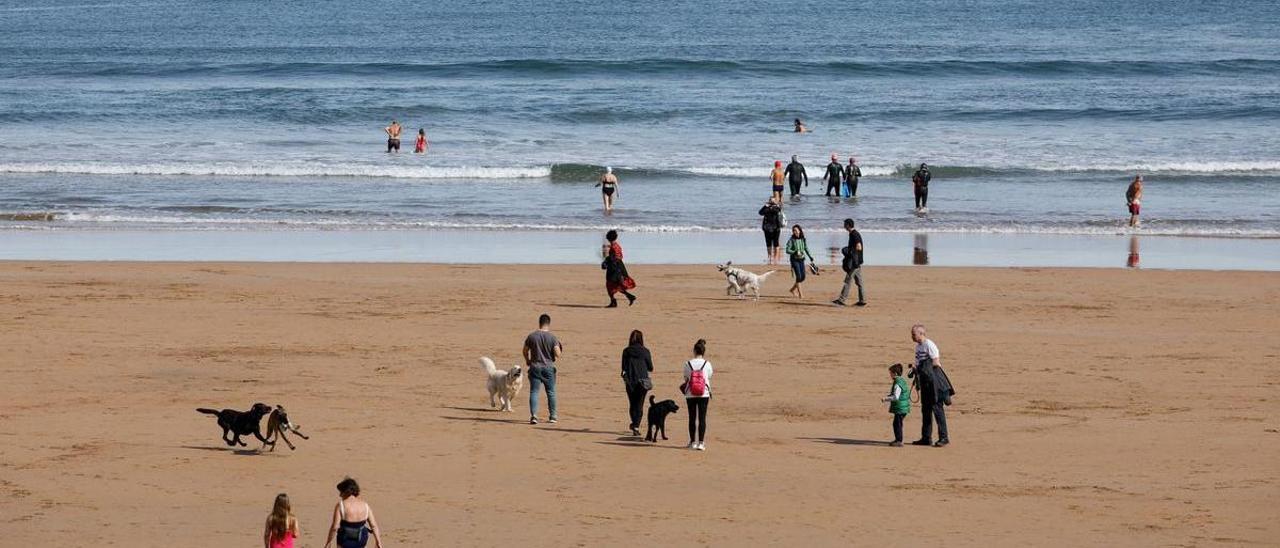 Los gijoneses se quejan más que nunca: de &quot;un sábado más sin siesta&quot; por ruidos a &quot;la porquería&quot; de los comedores, pasando por los problemas con perros y gaviotas