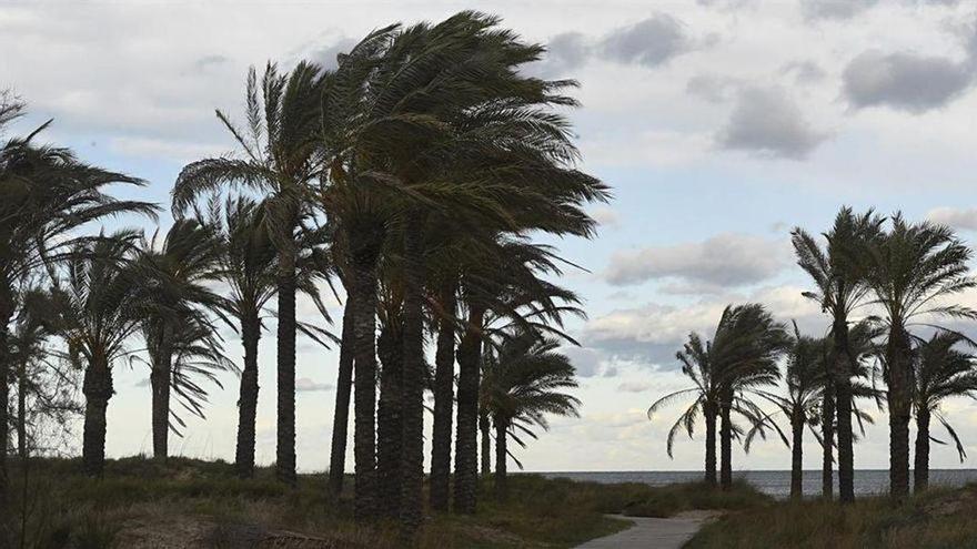 Alerta amarilla en Castellón: las rachas de viento llegarán a los 90 km/h