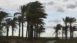 Viento huracanado en Castellón: las rachas máximas llegan a 169 km/h