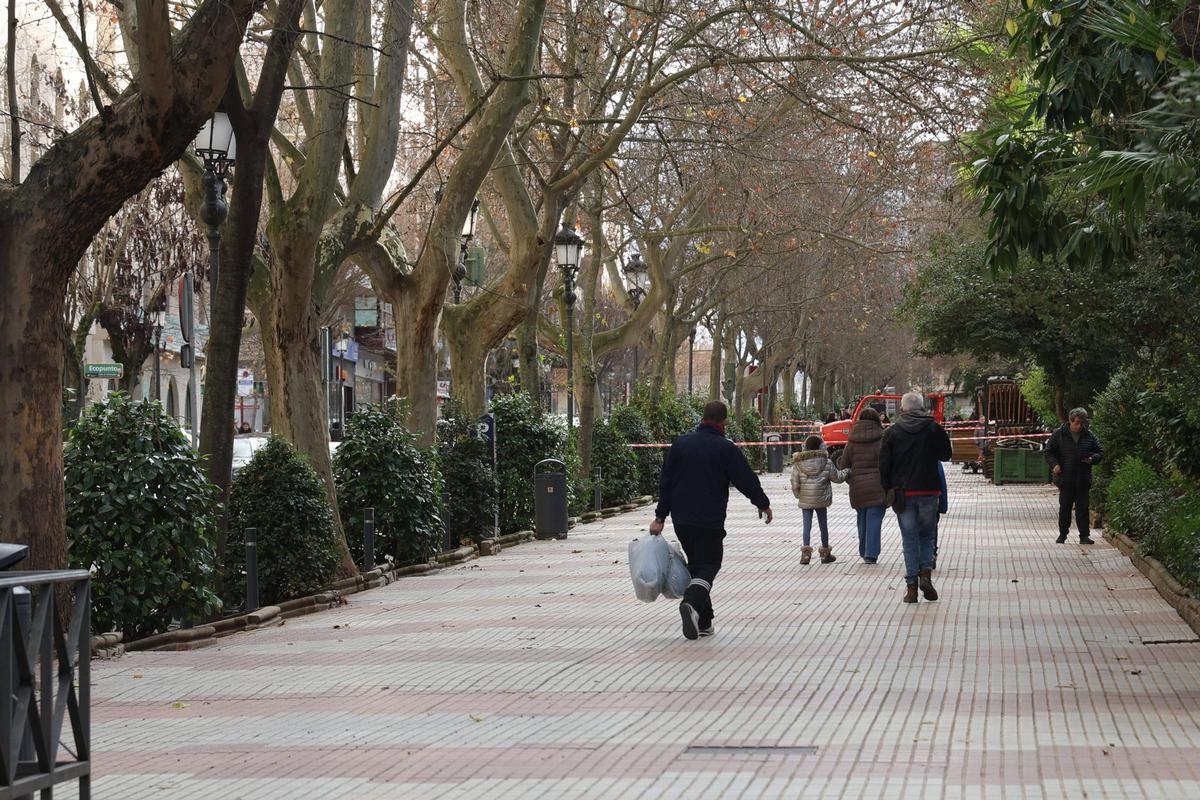 FOTOGALERÍA | La esperada reforma del Paseo de Cánovas de Cáceres, más cerca