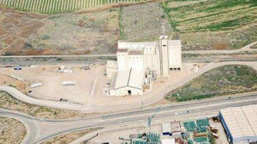 Las inversiones en el sector porcino aragonés marcarán el 2021