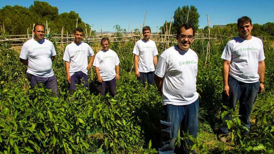 Gardeniers es un proyecto ecosocial de Atades