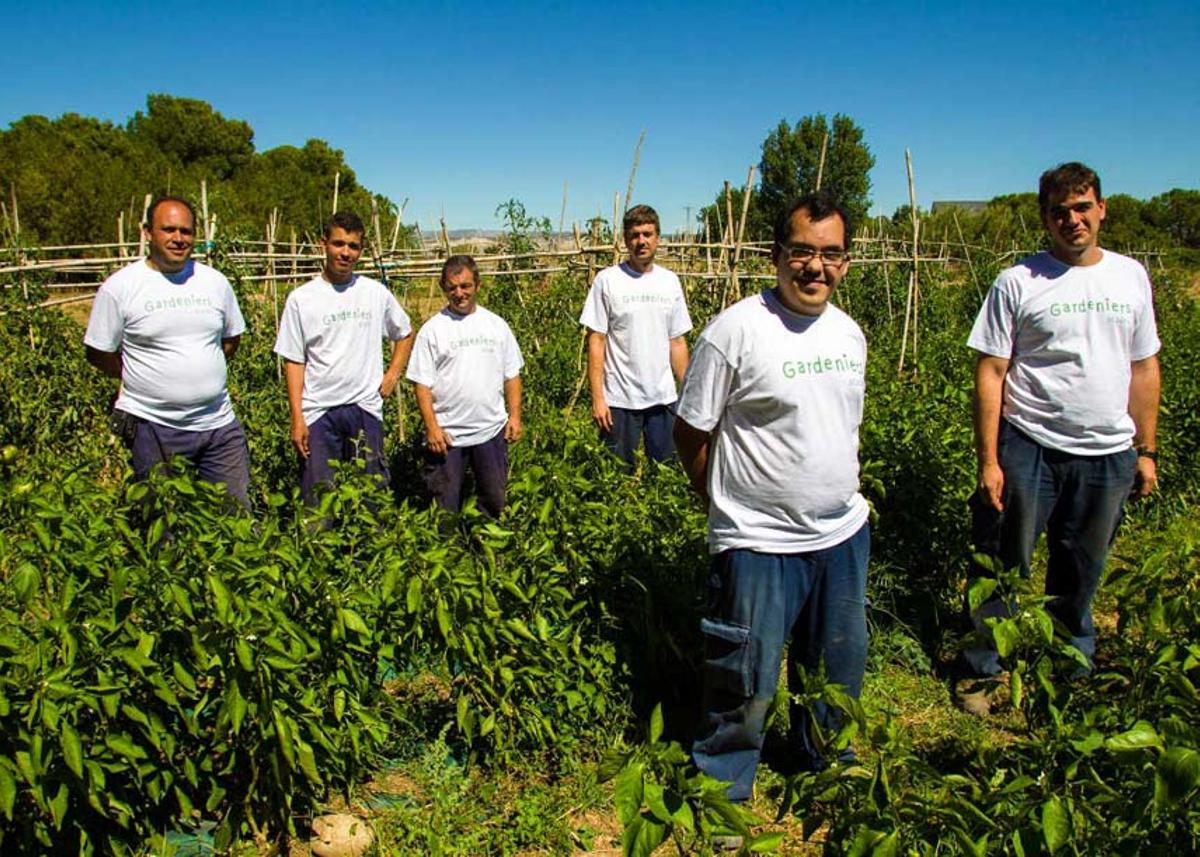 Gardeniers es un proyecto ecosocial de Atades