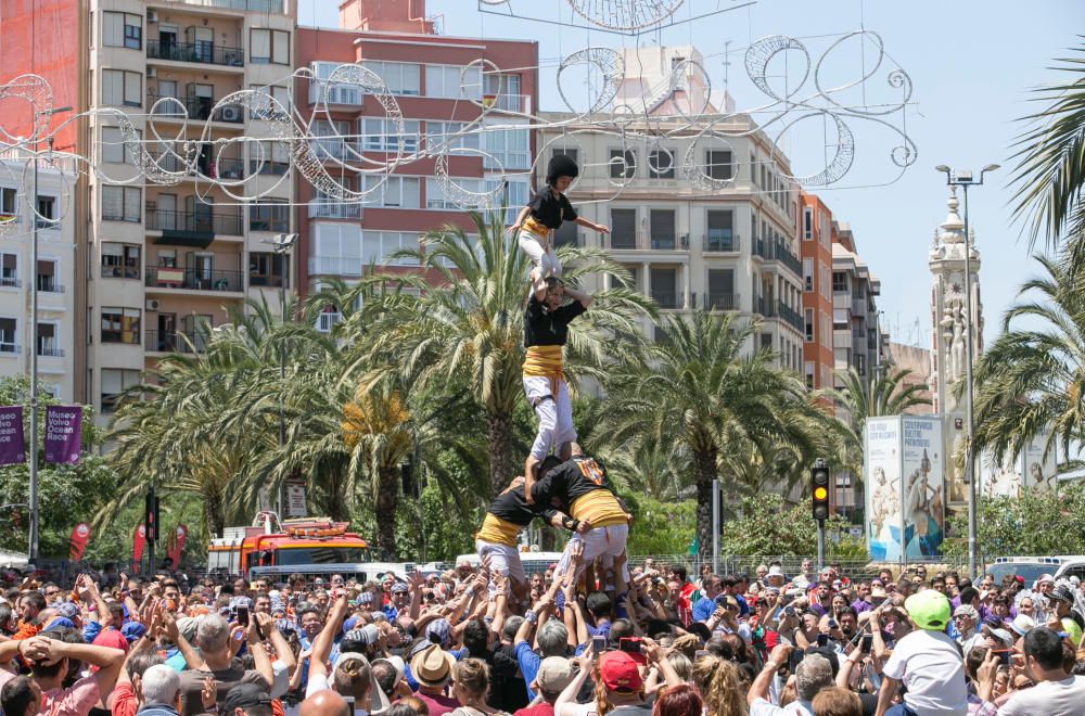 Las torres humanas construídas esta mañana en Alicante han logrado sorprender al público y crear un ambiente tradicional.