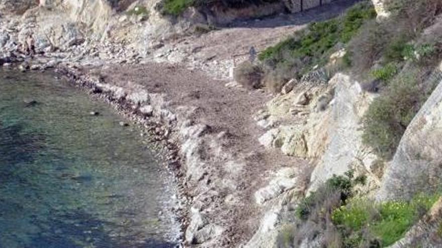 La playa para perros irá en Puerto Blanco, les Urques o la Manzanera