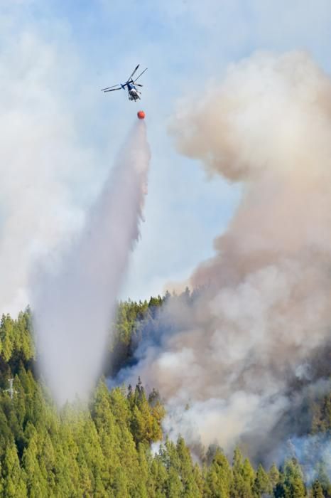 10-08-2019 ARTENARA. Incendio en la cumbre de Gran Canaria  | 10/08/2019 | Fotógrafo: Andrés Cruz