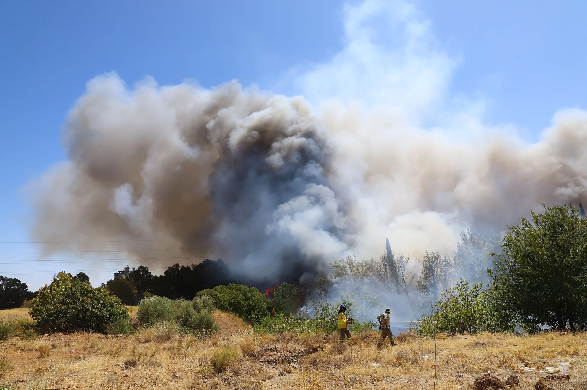 Las imágenes del incendio de la antigua Pérez Giménez