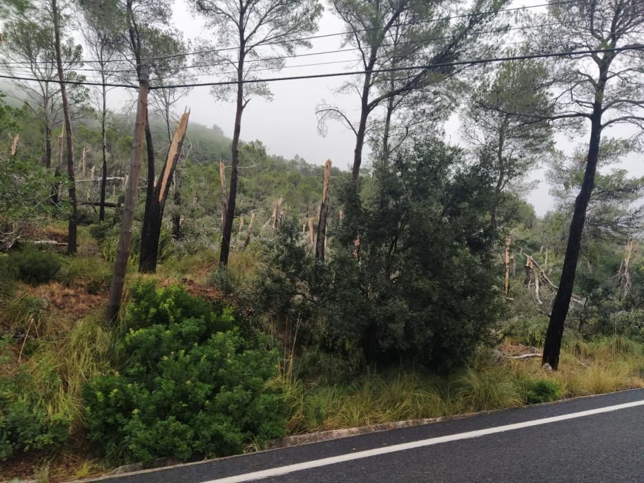 Tormenta, granizo y un 'cap de fibló' en Mallorca