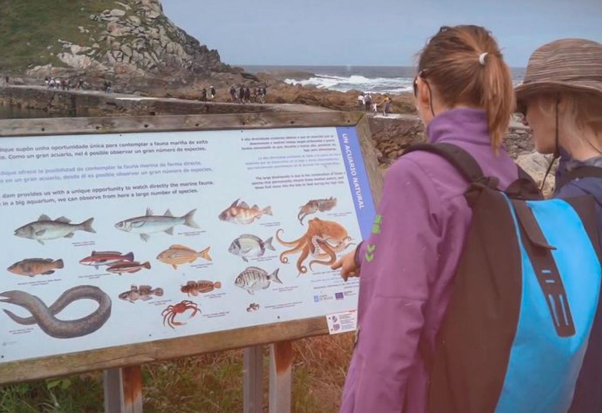 “Las Islas Cíes son un emblema contra el calentamiento global”