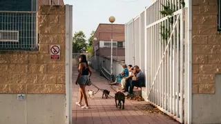 Continúa la preocupación por las mascotas en el incendio de Tres Cantos: los animales de Burrolandia se salvan del fuego