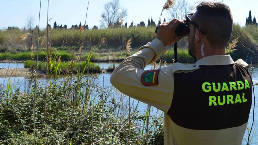 Freno a la pesca en el paraje del Millars por la reproducción de aves