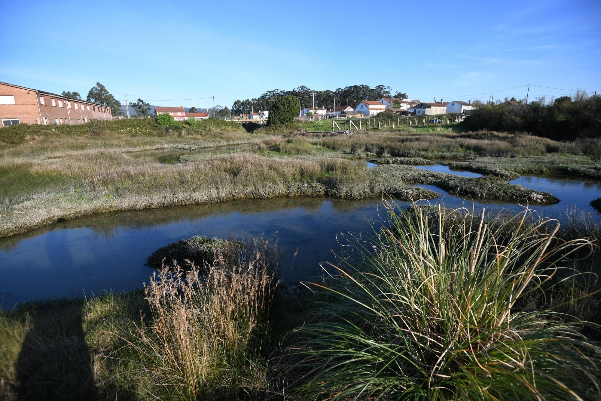 La ensenada de Arnosa, una joya histórica y ambiental