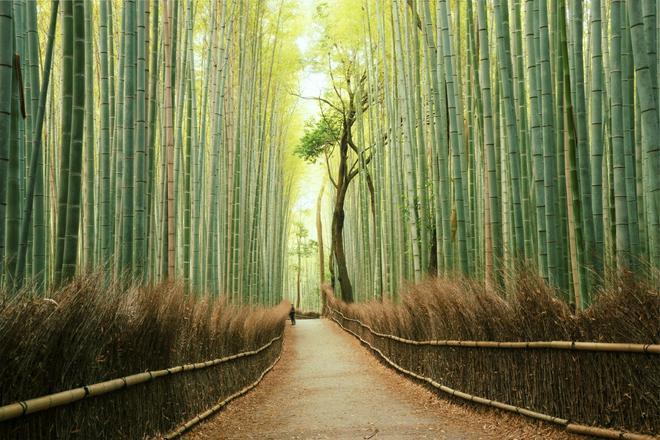 Japón, países belleza natural