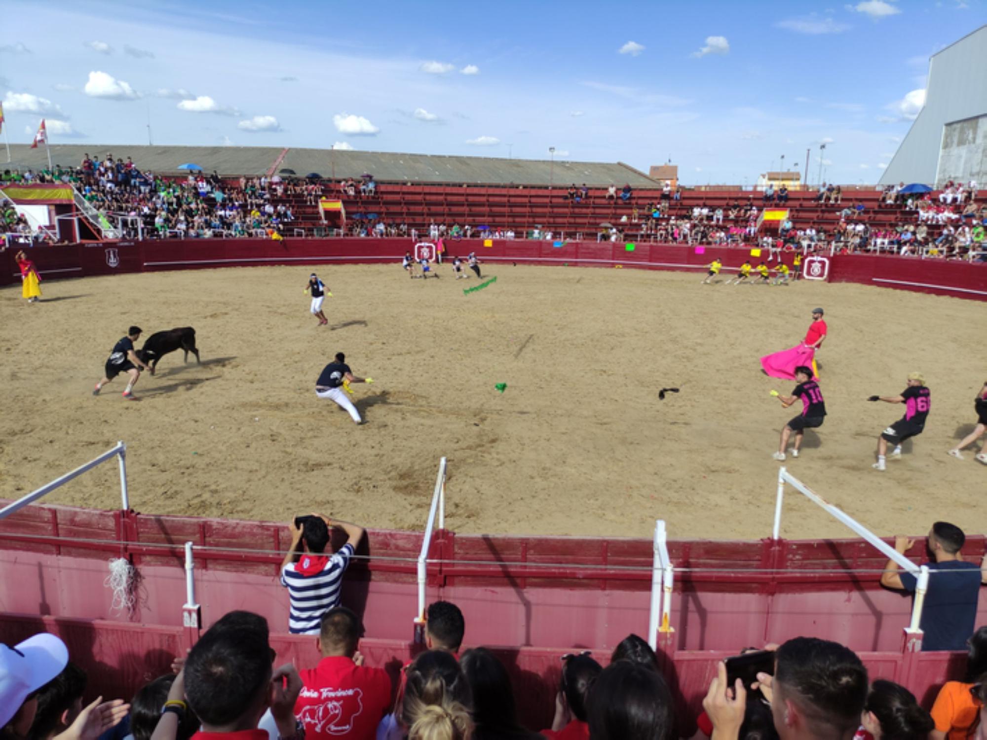 Fiestas del Toro en Benavente: Las mejores imágenes del "Juego de la NTE"